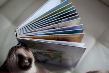 Фотокнига Эксклюзив в твёрдой фотообложке